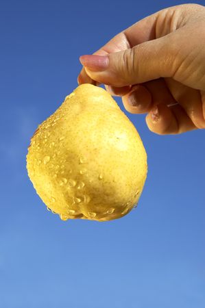 wet pearの写真素材