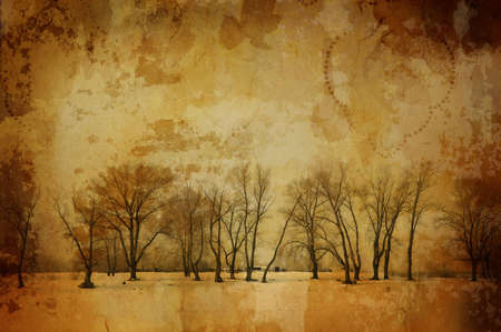 grunge winter (special f/x with dark vignetting,all art elements and prints made by me)の写真素材