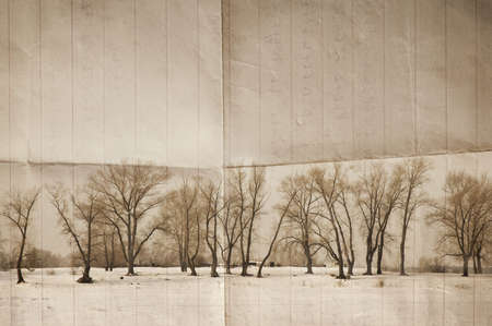vintage winter (special sepia toned photo f/x with dark vignetting, made from my images)の写真素材