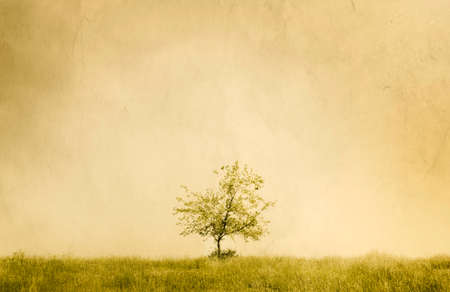 vintage treeの写真素材