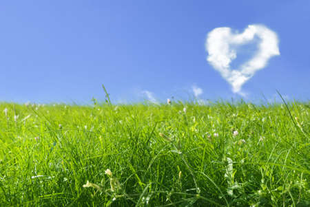 love everywhereの写真素材