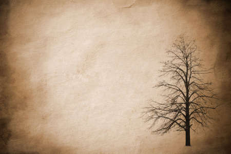 grunge treeの写真素材