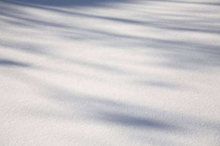 snow backgroundの写真素材