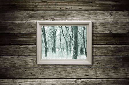 winterの写真素材