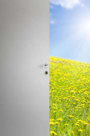 Door for new lifeの写真素材