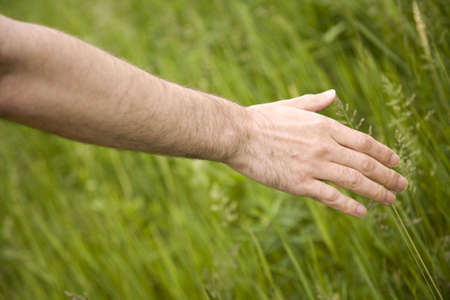 to nature with 