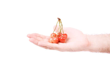 hand of man with red berry の写真素材