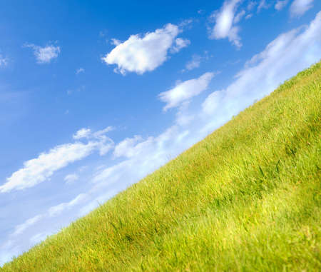 summerの写真素材