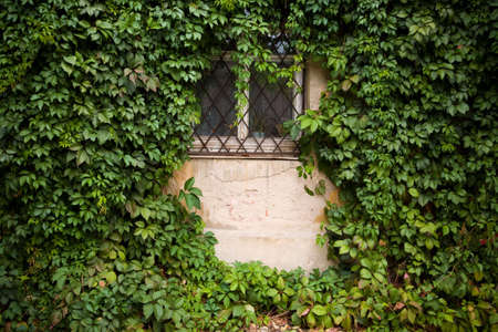 windowの写真素材