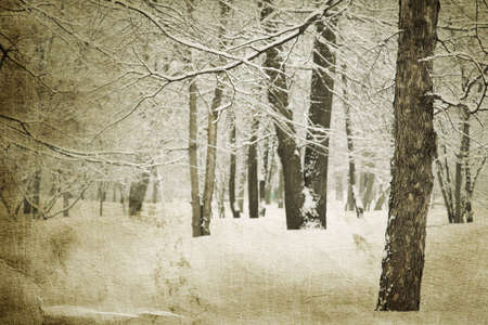 special paper texture ,toned and grunge f/xの写真素材