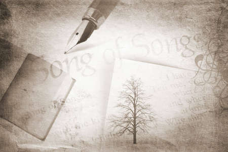 vintage textureの写真素材