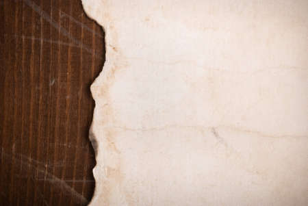 paper with  torn edges の写真素材