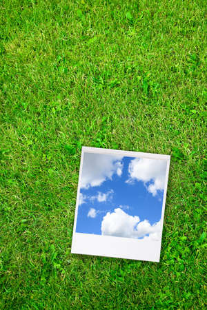 summerの写真素材
