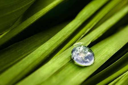earth 