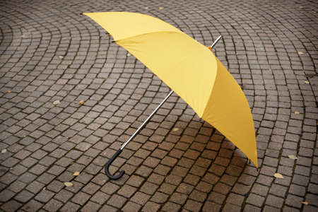 yellow umbrellaの写真素材