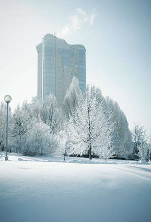 frozen worldの写真素材