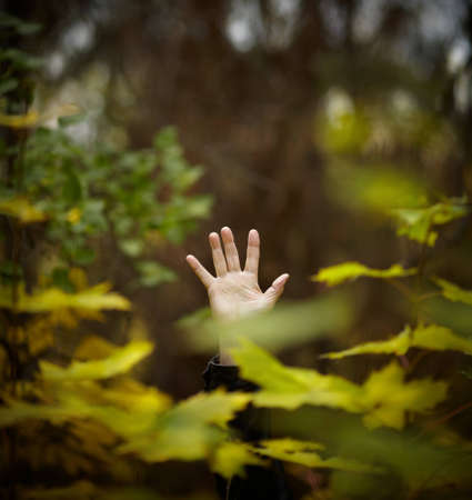 human friendly for natureの写真素材