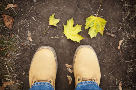 autumnの写真素材