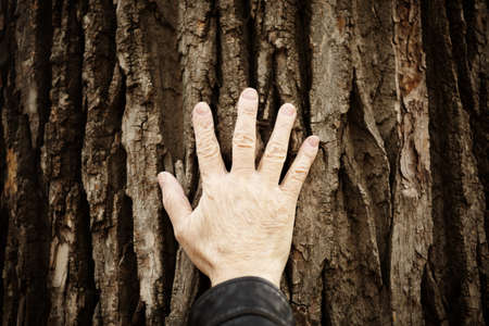 touch the natureの写真素材