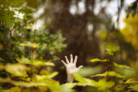 human friendly for nature 	
