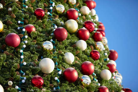 christmas treeの写真素材