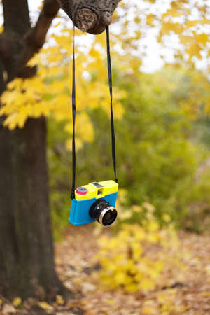 toy camera の写真素材