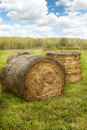 Bales of Hay  after harvest, selective focus on nearestの写真素材