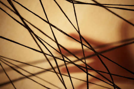 internet concept,victim in the net, selective focus on nearestの写真素材