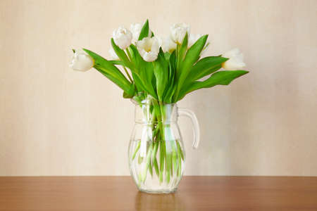 white tulipsの写真素材