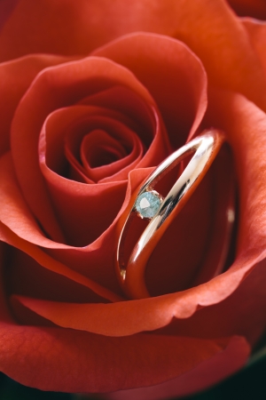 love concept with ring and red flower, selective focusの写真素材