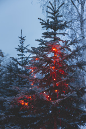 Christmas tree with red lights.の写真素材