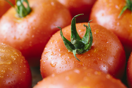 fresh tomatoesの写真素材