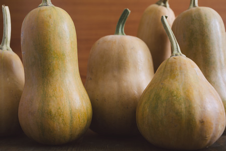 pumpkinsの写真素材