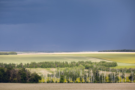 summer landscapeの写真素材