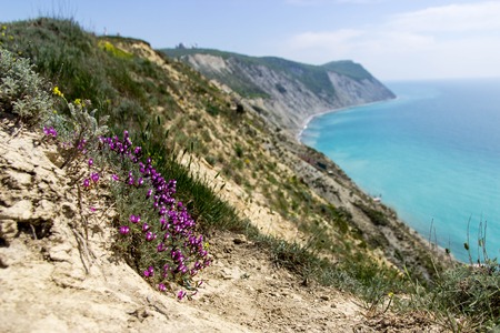 Summer landscape on the mountain and the sea. Anapa, Russia.の写真素材