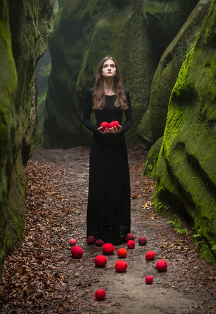 Alone beautiful girl in a fairy forest on the background of stones, overgrown with moss. Portrait of a brunette in a black dress that stands near the rocks and holds in his handsの写真素材