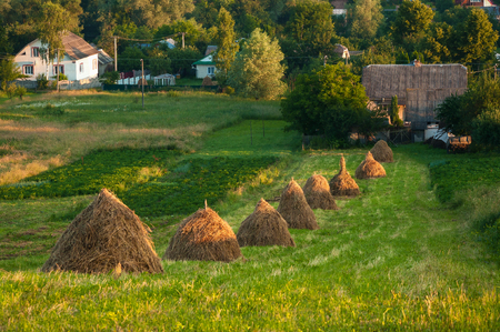 Field with haystacks in the sunny day. Rural landscape; hey rolls on the field at the mountain in Ukraine.の写真素材