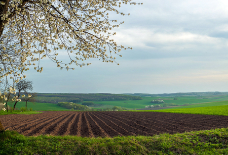 Landscape of plowed garden in spring time. agricultural scenic view with garden-beds. Plowing the ground before sowing.の写真素材
