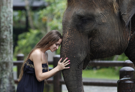 Model woman hugging a big elephant in the Parkの写真素材