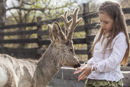 Beautiful little girl hugging animal ROE deer in the sunshine, protecting an animalの写真素材