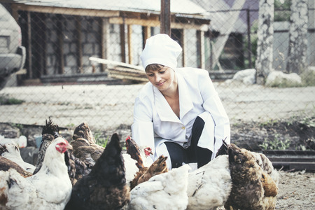 Woman in Bathrobe smiling young veterinarian checks the hens on a small private farmの写真素材