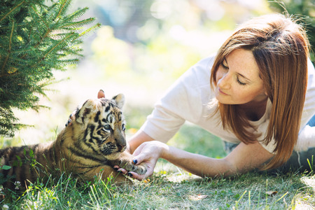 Little baby tiger cub with a woman who takes care of and hugs him in her arms in the wildの写真素材