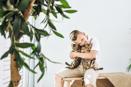 Fashionable child boy beautiful and happy with little cute Bengal kittens together