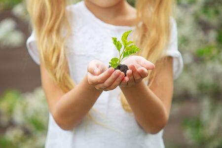 Hands of a child close-up with a young green sprout in natureの写真素材