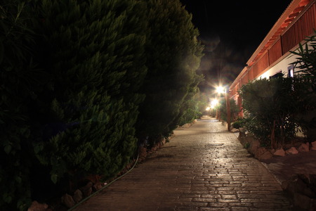The night landscape with trees a stone blocks and lampsの写真素材