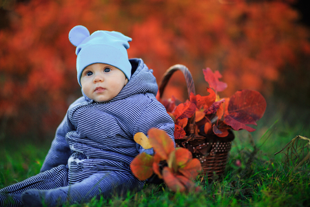 Cute baby in autumn park. Little boy sits on grass with a basket of leaves. Portrait toddler kid outdoors. - Imageの写真素材
