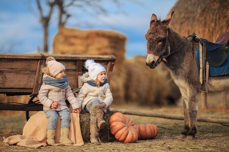 Children play in a cart with a donkey in the village . Kids have fun on the farm. Girls in warm clothes, hats, coats, scarves with a burro.の写真素材
