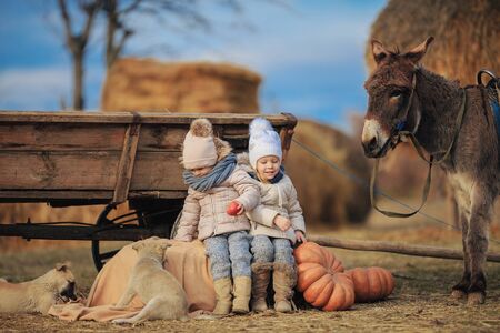 Children having fun on a farm with a donkey, dogs near a cart in the village. Kids in warm clothes playing with the animals.の写真素材