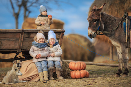 Children having fun on a farm with a donkey, dogs near a cart in the village. Kids in warm clothes playing with the animals.の写真素材