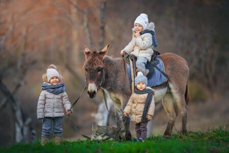 Children ride a donkey. Little kids in warm jackets and hats in nature with a burro.の写真素材